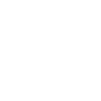 White Pinterest Icon