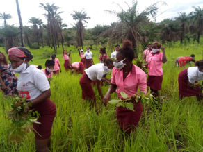 update from the KABOR Project in Sierra Leone