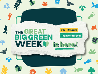 celebrating the great big green week in asphaleia training