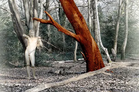 photo of a tree in a forest stained red with a classical statue to the left of the image