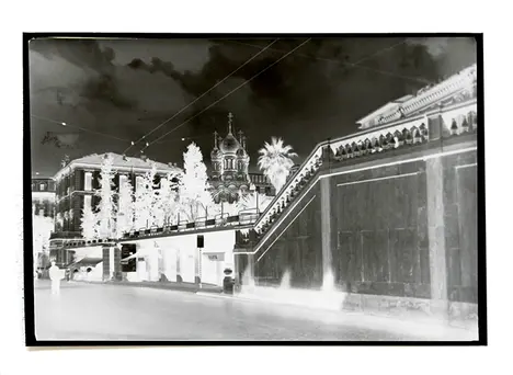 a street scene somewhere warm with palm trees, in negative