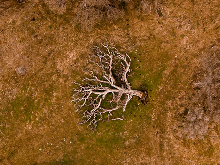 Pilot Spotlight: Interview with Ellie McCutcheon