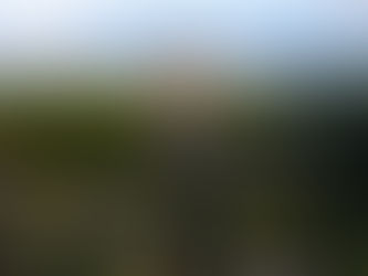 Pilot Spotlight: Interview with WWD Ambassador Andrée Olumann