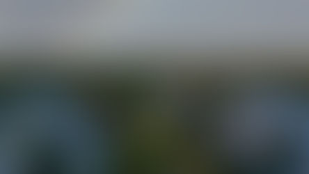 Pilot Spotlight: Interview with Erin Wilkinson