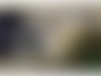 Everything You Need To Know About the Morphing Quadcopter