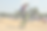 102832437-GRND0181 (1)_edited_edited_edited.png