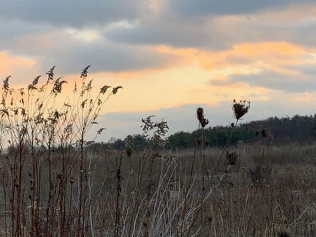 Congratulations Graduates!
