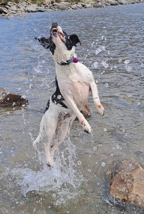 Meg leaping for joy!