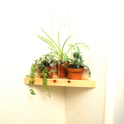 Hanging Indoor Plant Tray Hillsigns