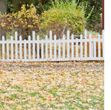 Rekindling the Love of Reading: A Journey Through the Library