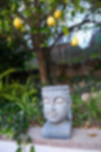 Peaceful garden with a mature lemon tree, decorative Buddha sculpture, and lush landscaping in a furnished West Hills home.