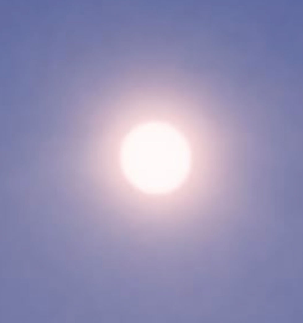 ree