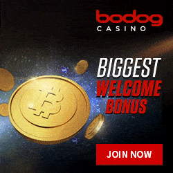 Bodog-Casino-banner-250x250.gif