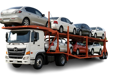 Servicio de transporte en niñera