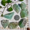 Thumbnail: Green Calcite