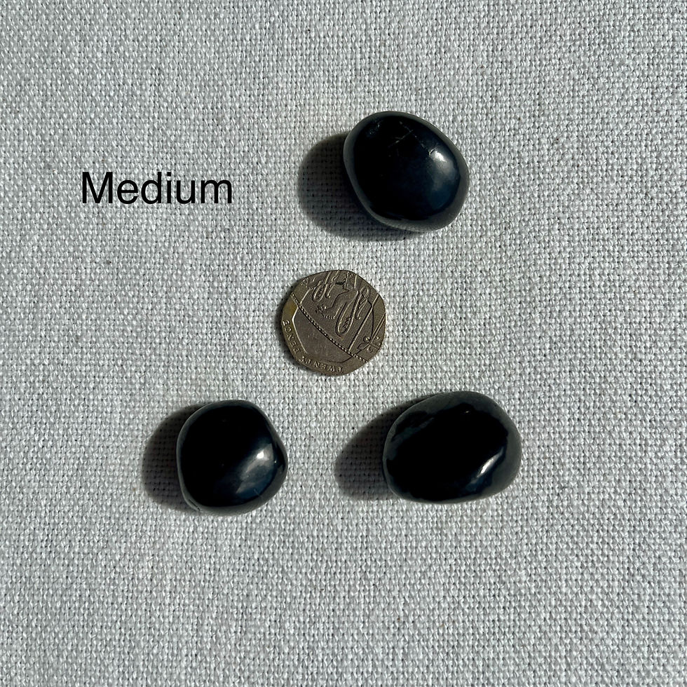 Thumbnail: Shungite Tumblestones