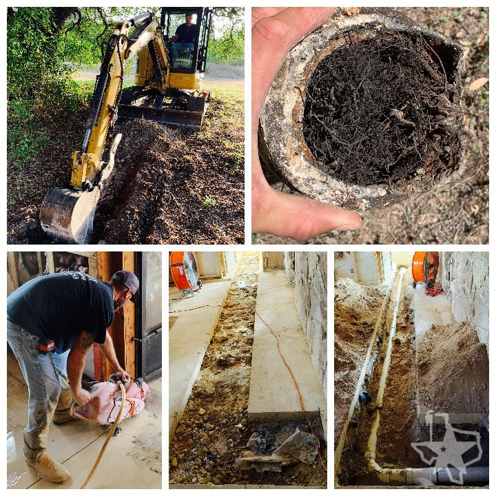 tree roots/replace sewer line