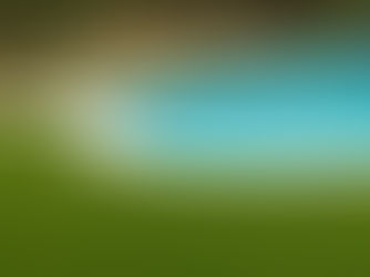 Pour quelles raisons choisir le gazon synthétique de Garden Grass ...