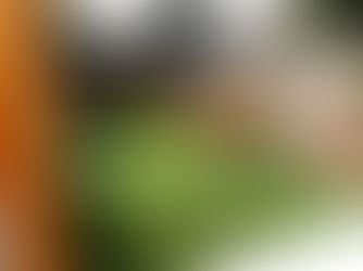 Installer du gazon synthétique, bonne ou mauvaise idée ...