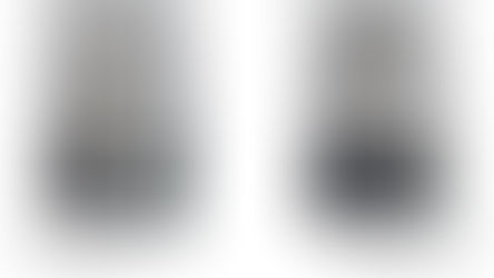 A la découverte des  descendants de Marie Joseph Armand GUETRE