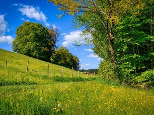 Comment niveler un terrain en pente