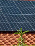 Installation panneaux photovoltaïques