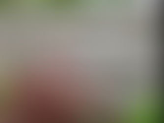 Comment fabriquer et installer une clôture en dosse : guide étape par étape