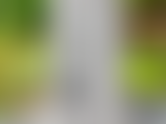 Misterbricolo installe l'électricité dans son jardin ...