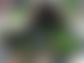 Misterbricolo utilise des pierres naturelles pour décorer son bassin à poisson ...