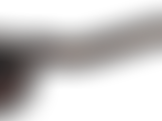 Misterbricolo vous raconte l'histoire de Facom ...