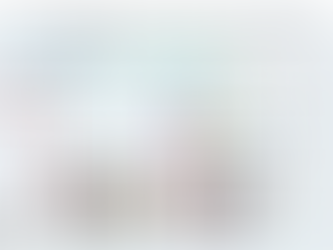 Misterbricolo installe un va et vient en vidéo avec Monsieur Bricolage ...