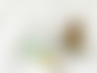 Misterbricolo fabrique son désherbant biologique ...