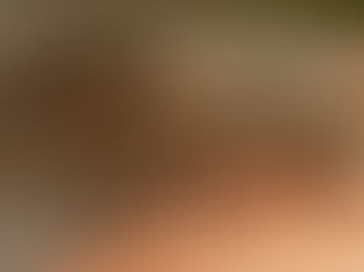 Comment se protéger des piqûres de taon : conseils pratiques et que faire si on est piqué ?