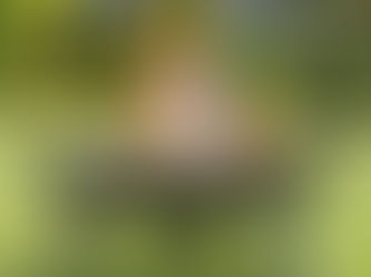 Misterbricolo achète un brasero ...