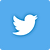 Twitter Social Icon