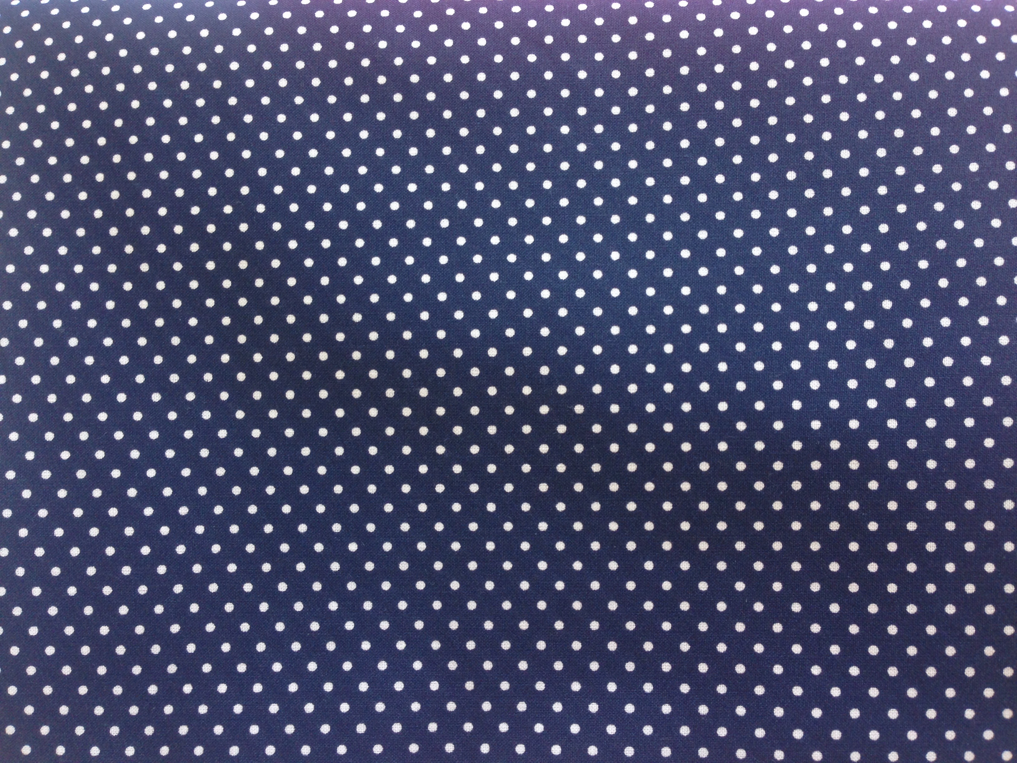 Enduit mini pois bleu