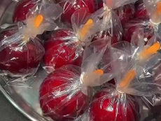 Família Feexaameentoo abre o 9º Festejo Julino com noite de fé e adoração; programação segue até domingo(02) em Guarujá