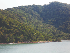 Em São Vicente, Parada Pedagógica promove integração entre creches com foco na natureza e nos vínculos afetivos