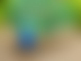 Parque Ecológico de Mongaguá recebe autorização para funcionar como Zoológico e divulga a chegada de novas espécies.