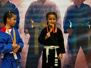 Ginásio Guaibê recebe 2 mil pessoas no VI Festival de Artes Marciais