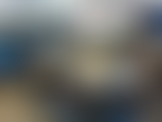 Guarujá marcou presença na 5ª Conferência Nacional de Políticas para as Mulheres.