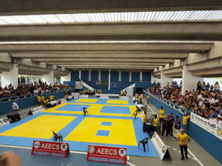 O 5º Festival de Artes Marciais reuniu mais de 2 mil pessoas no Ginásio Tejereba