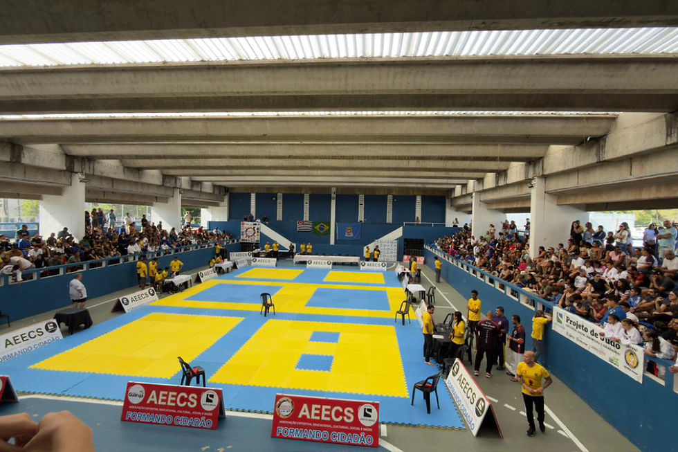 Evento recebeu 300 atletas que disputaram diversas categorias de judô, jiu-jitsu e karatê; Todos ganharam medalha