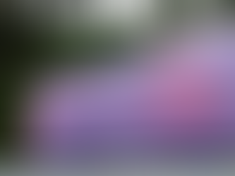 Prazo para inscrições em cursos gratuitos de qualificação profissional termina nesta sexta-feira (10)