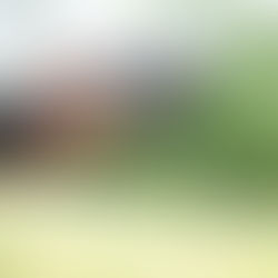 Em Praia Grande, Domingo no Parque terá como atração principal um espetáculo infantil