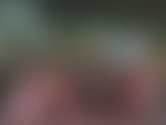 "Guarujá, Seu Amor no Verão…" marca o início da temporada com sucesso absoluto”