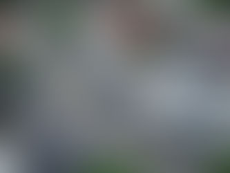 Santa Rosa celebra a entrega das obras de pavimentação em 11 vias do bairro