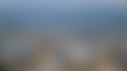 Porto de Santos estende o benefício de desconto nas tarifas para os chamados “navios verdes”