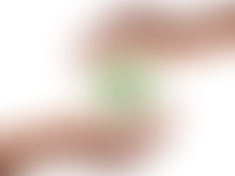 Praia Grande adota tecnologia no monitoramento de caçambas para reforçar o combate ao descarte irregular de resíduos.