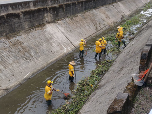 Prefeitura de Guarujá lança canal para receber solicitações de zeladoria urbana